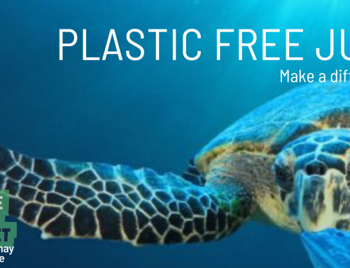 Embracing Plastic Free July: Small Changes, Big Impact