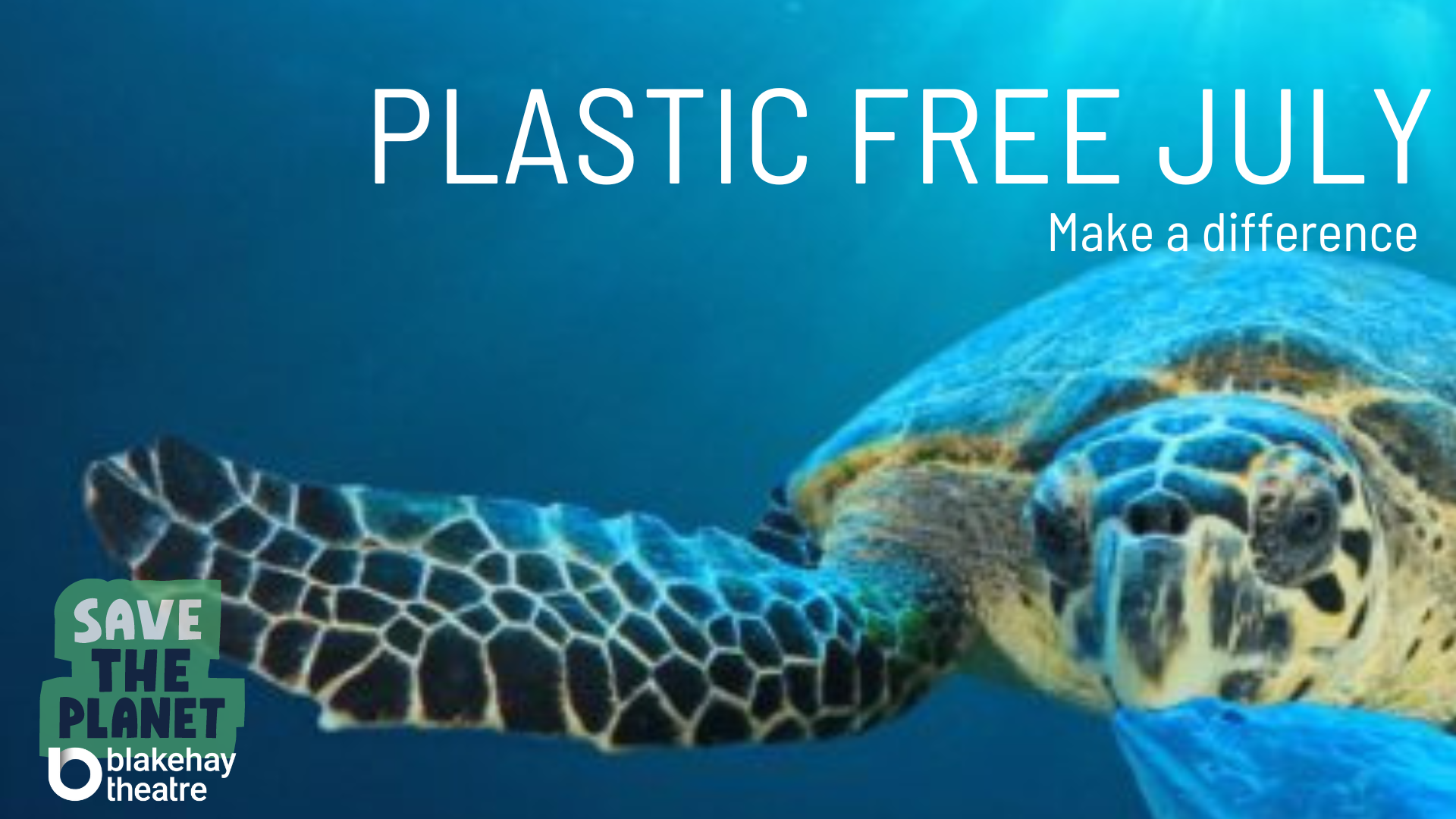 Plastic Free July Blog